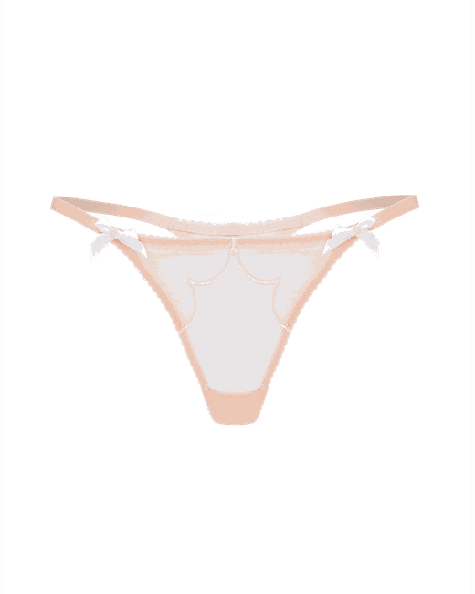 Agent Provocateur Lorna Embroidered Mesh Thong in Pink | Stylemi